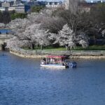 Potomac Paddle Club - cycleboat cruise Georgetown. Booze cruise from Washington Harbour in Georgetown. Party boat cruises in Georgetown. Views of Cherry Blossoms in Washington DC