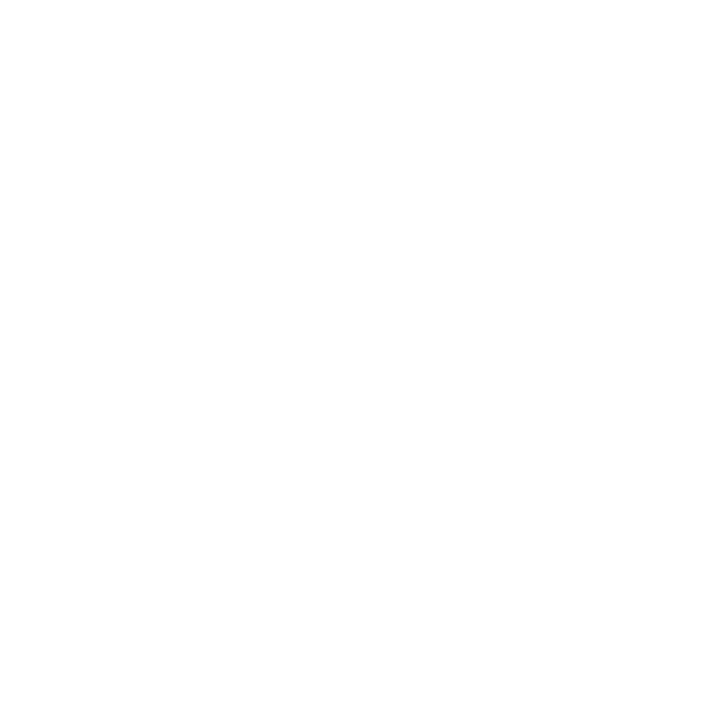 Potomac Paddle Club Logo - White