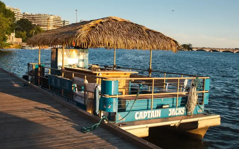 Sea-Suite-Cruises-Tiki-Boats-DC-9D-(5)-min