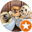 Tia Scagliarini profile picture