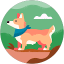 Virginie Dumay profile picture