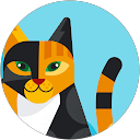 Everyday Reviewer profile picture
