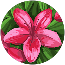 Jaykay profile picture
